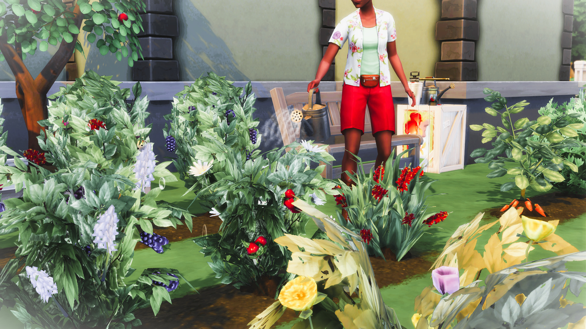 🌿 Widowed Botanist Challenge (Base Game)